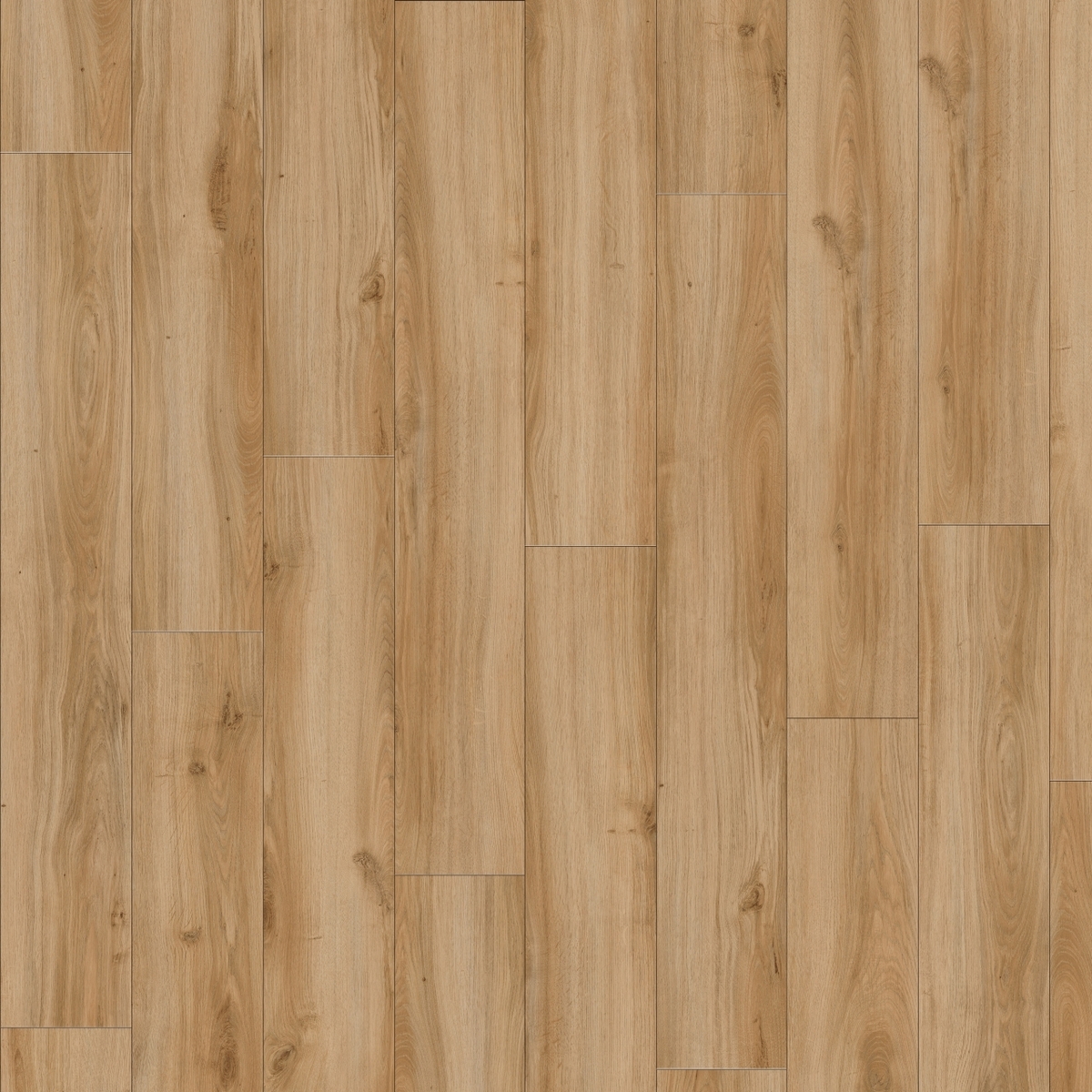 Classic Oak