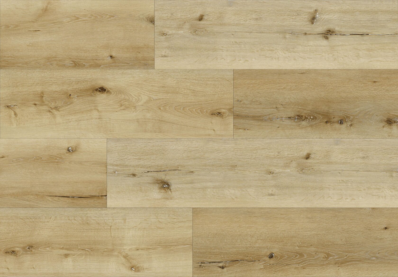 1901 Дуб Лоренц