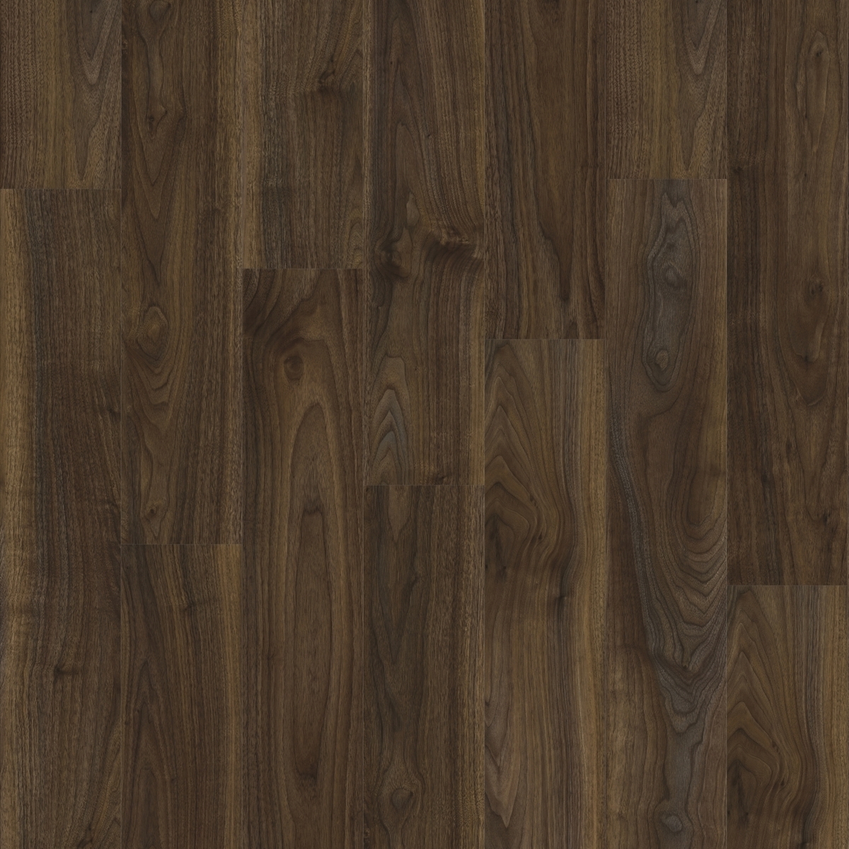 English Walnut English Walnut