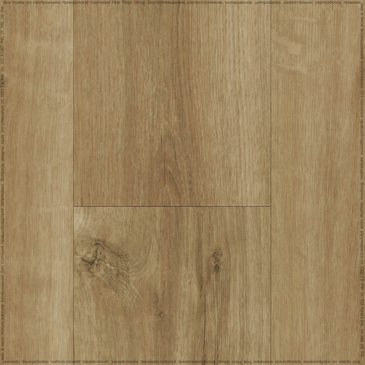 SILKY OAK SILKY OAK