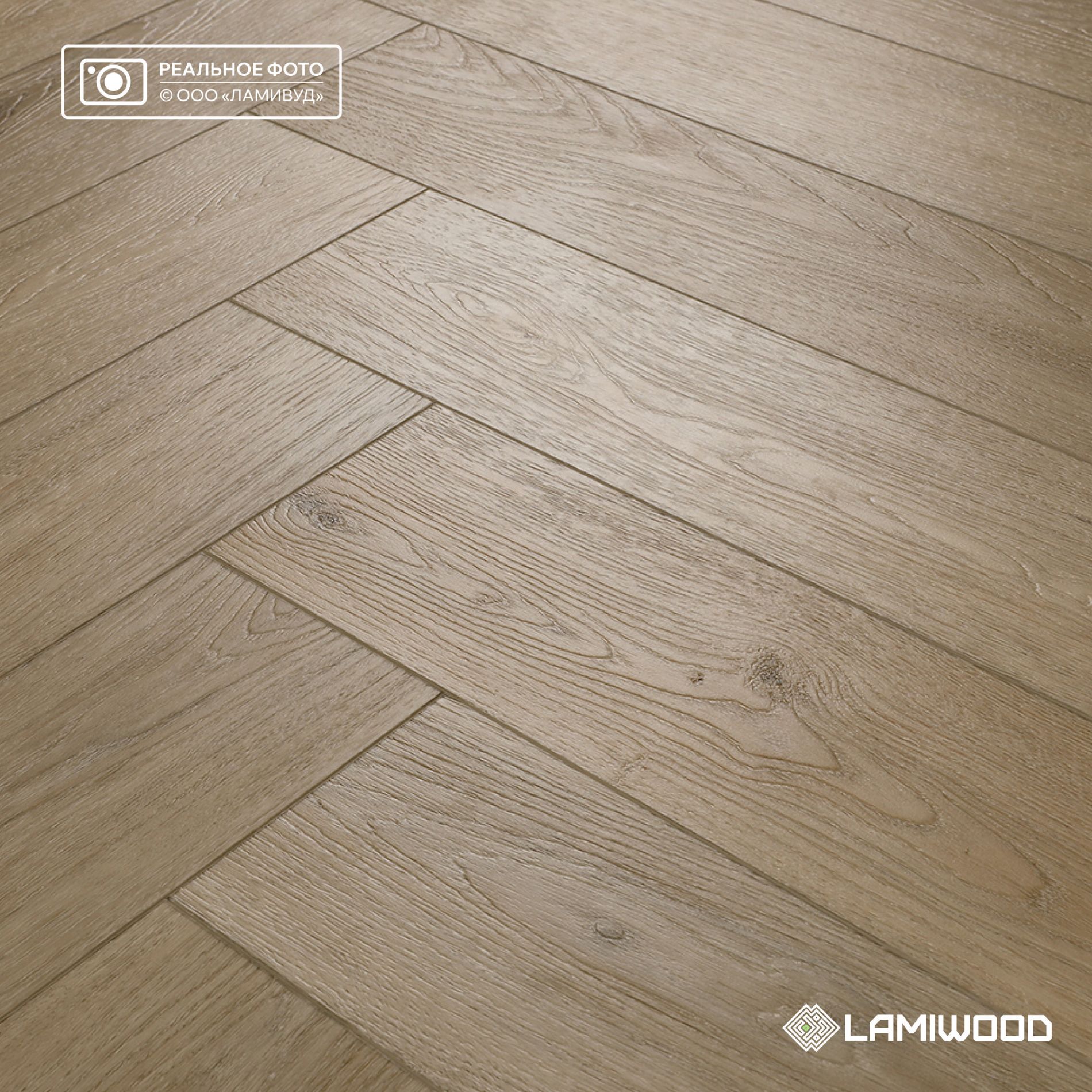 ВЕНЕЦИЯ (VENEZIA) 213 Дуб Тревизо