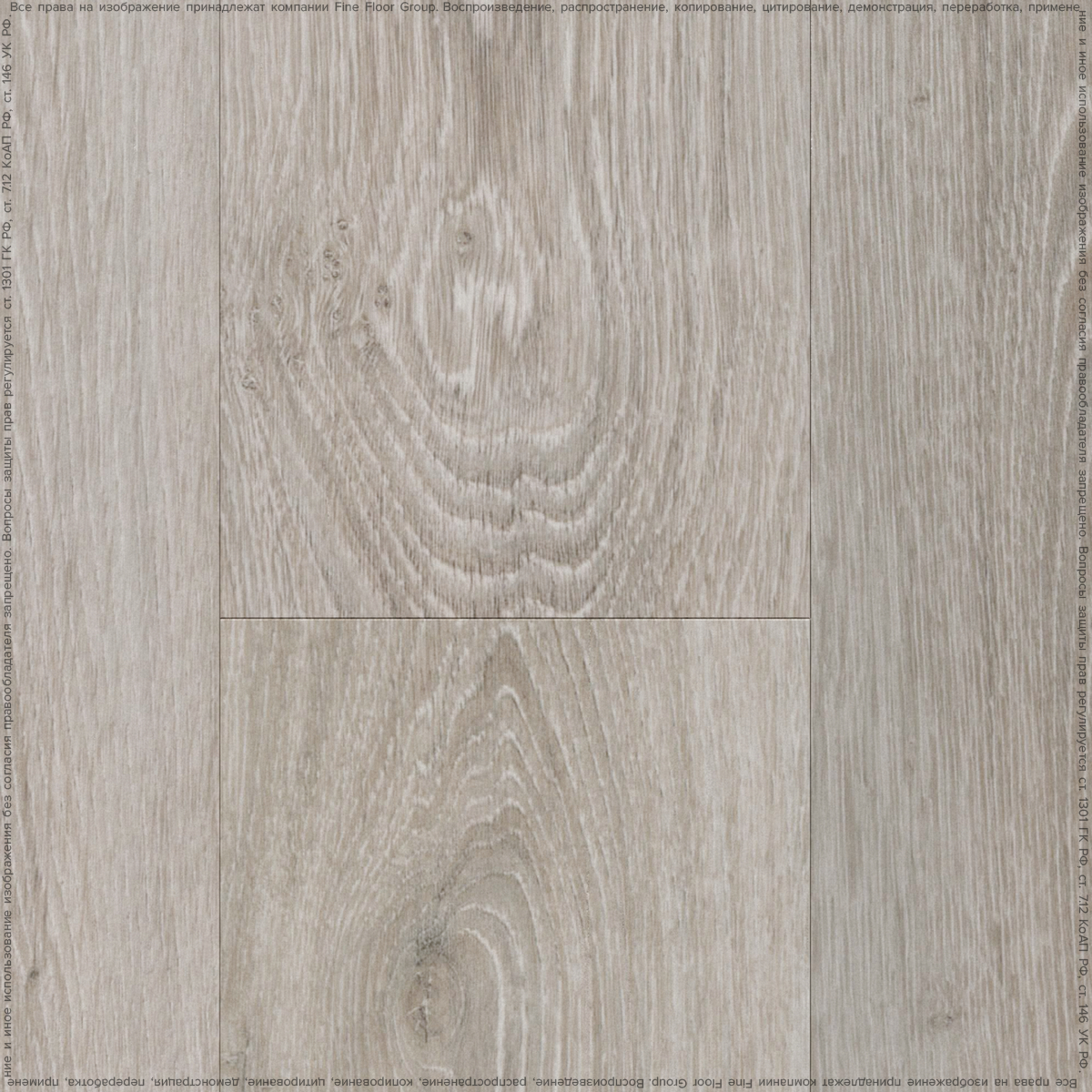 EMORY OAK