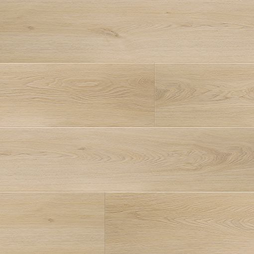 9433 Дуб Эйлер