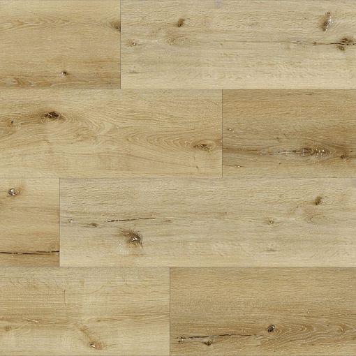 1901 Дуб Лоренц