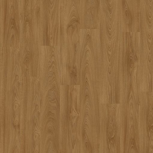 Laurel Oak