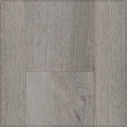 BELVER OAK