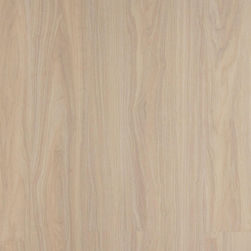 Classic Glue AF5516 Glue