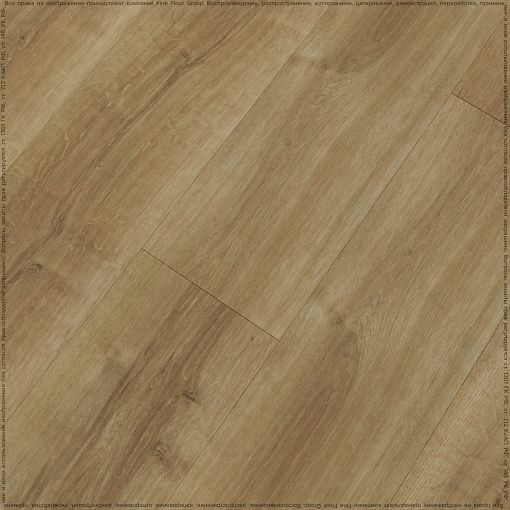 SILKY OAK