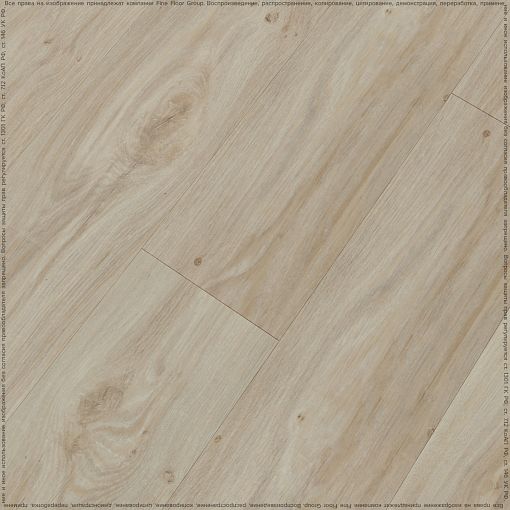 VISTA OAK