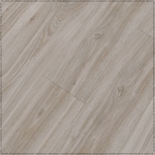 VISTA OAK