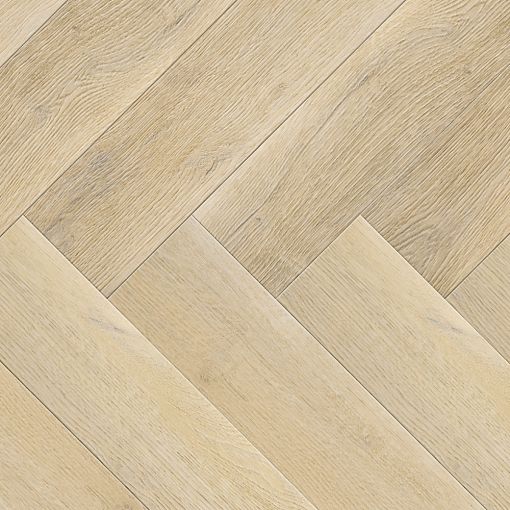 1537 Небесная Кассиопея