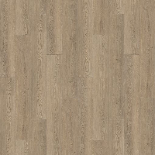 6241 Дуб Веларус дымчатый