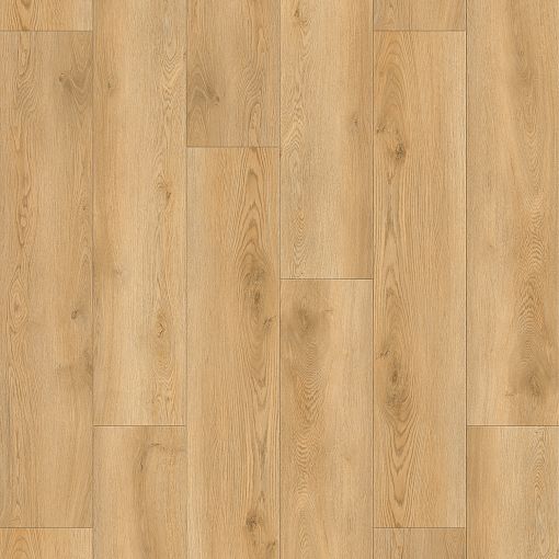 6991 Дуб Купер