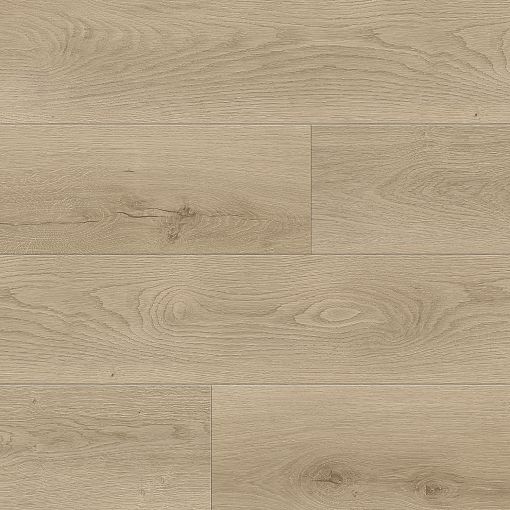 6415 Дуб Санрайз