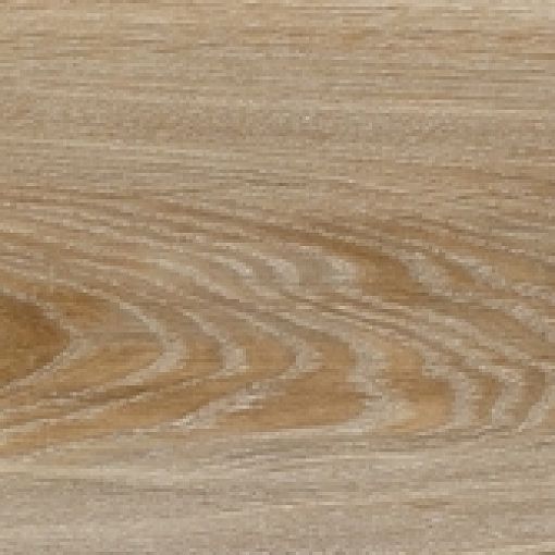 Blackjack Oak