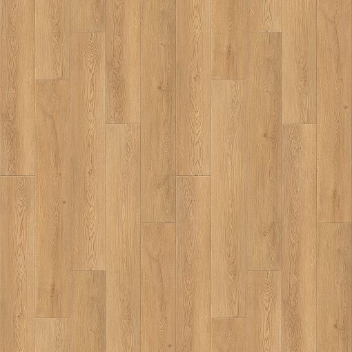 6248 Дуб Веларус натуральный