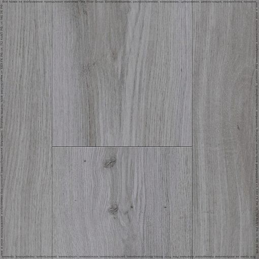 TRADITION OAK