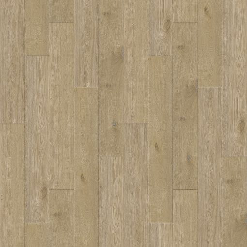 6112 Дуб Бельгард