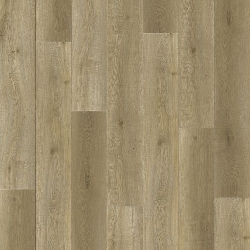 8674 Дуб Селестра