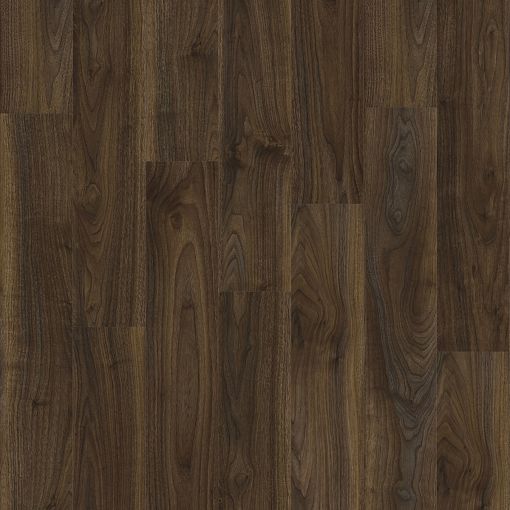 English Walnut