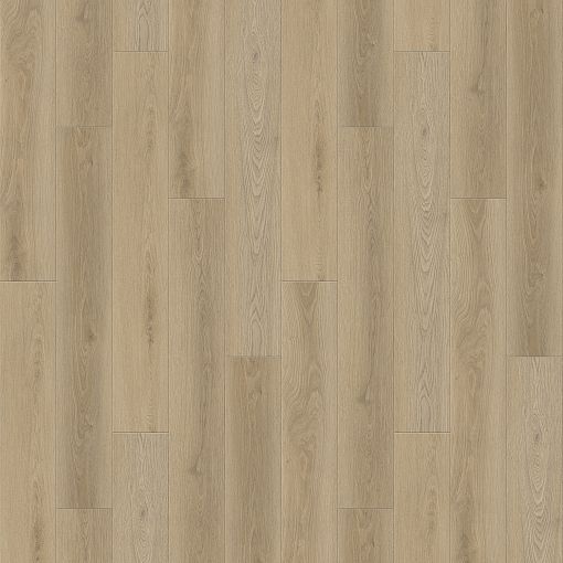 6784 Дуб Идиль