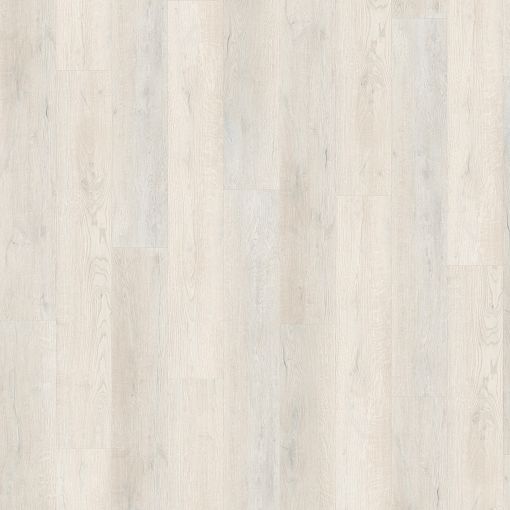 5637 Дуб Эклипс