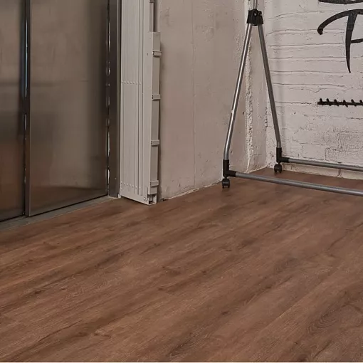 10-038 Дуб Турне