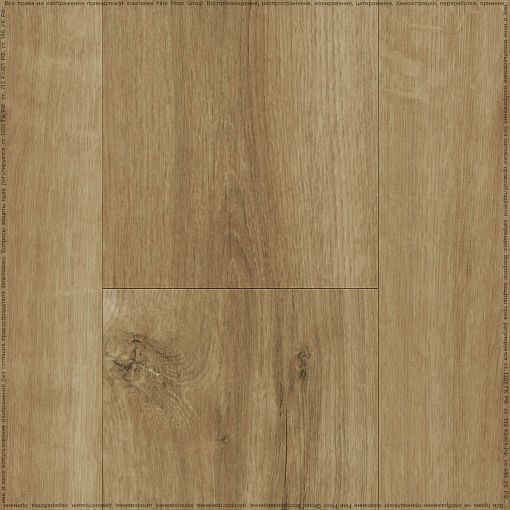 SILKY OAK