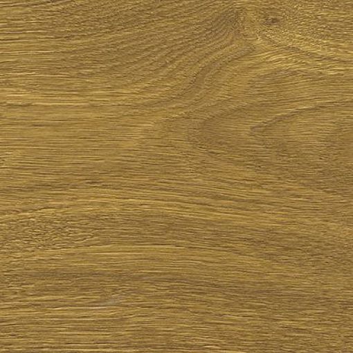 Пробковый пол Oak knotty