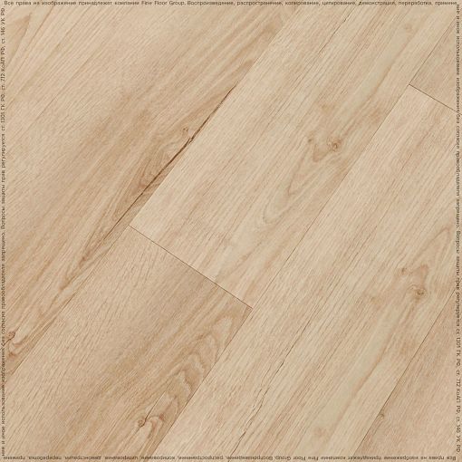 SHELBY OAK