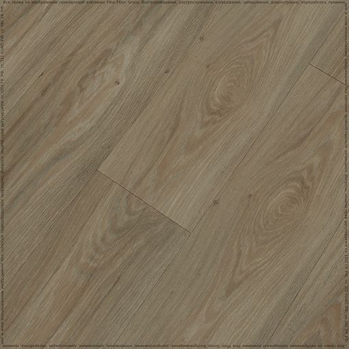 VISTA OAK
