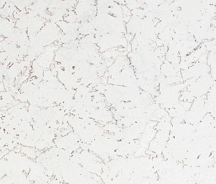 Настенная пробка Wicanders Dekwall Hawai White Exclusive