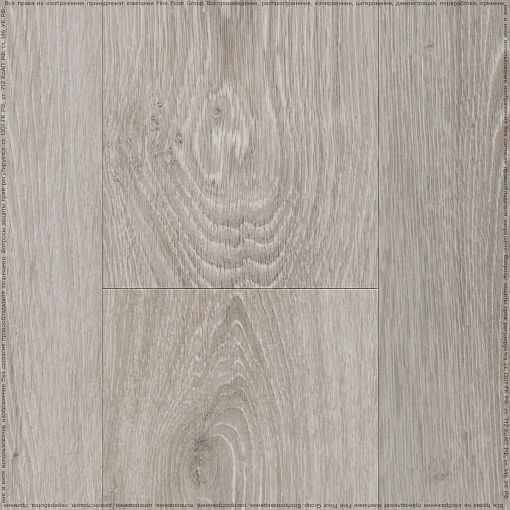 EMORY OAK