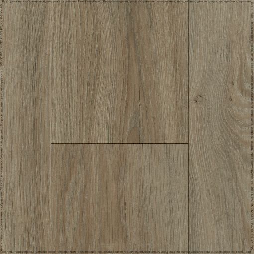 VISTA OAK