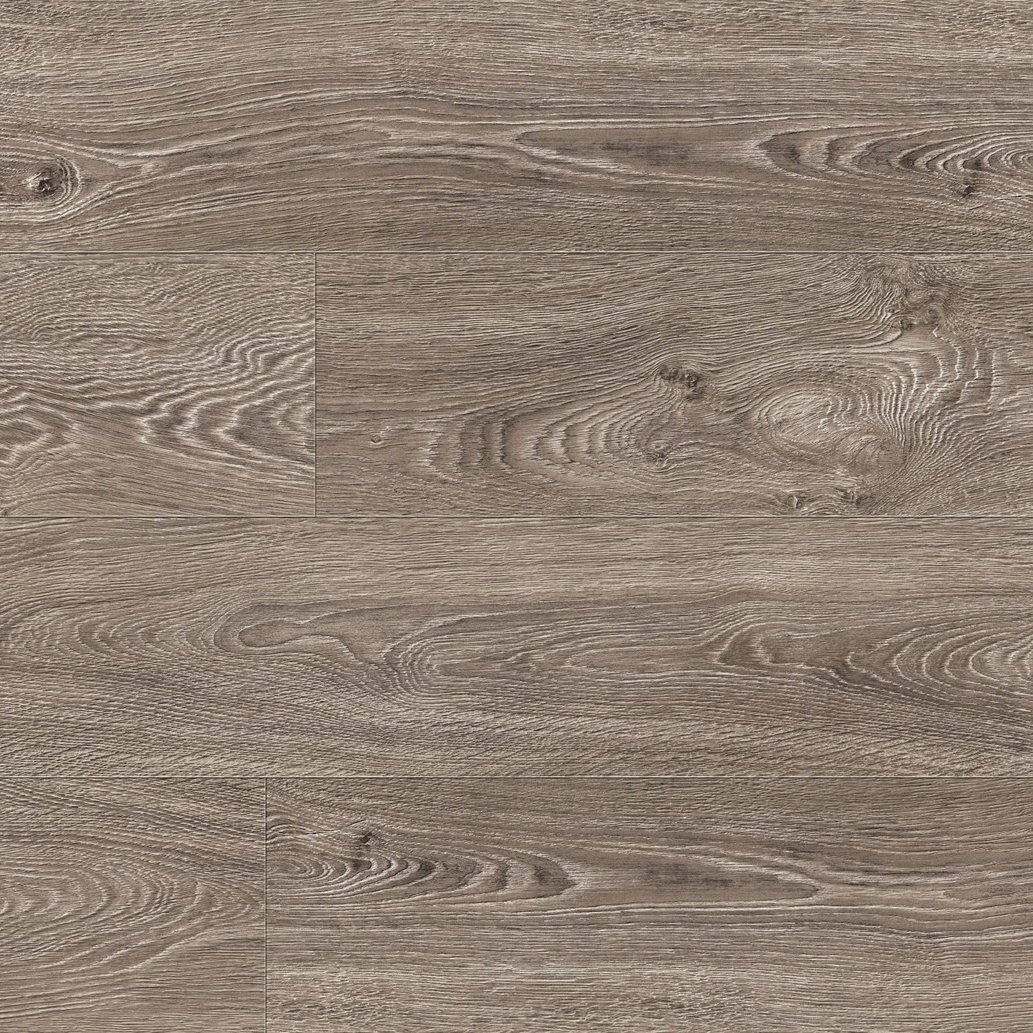 91752 Дуб Оттава