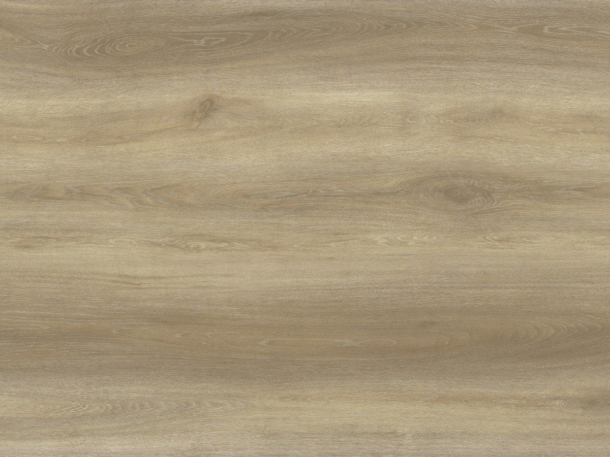 712 Дуб Бернардо 712 Дуб Бернардо