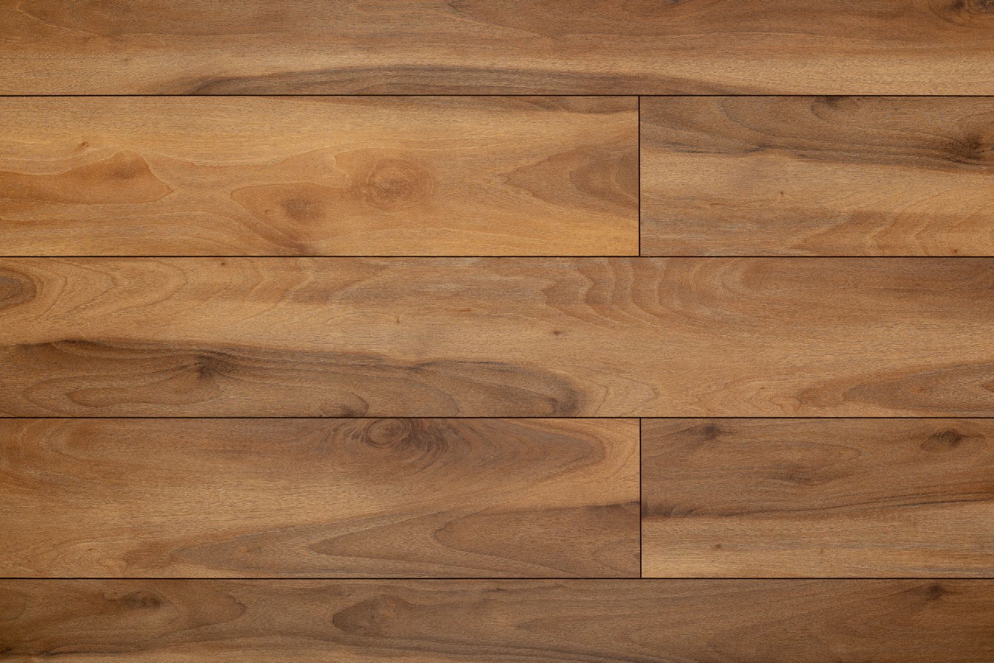 Space Nuts XL Glue AF4073NXL Glue