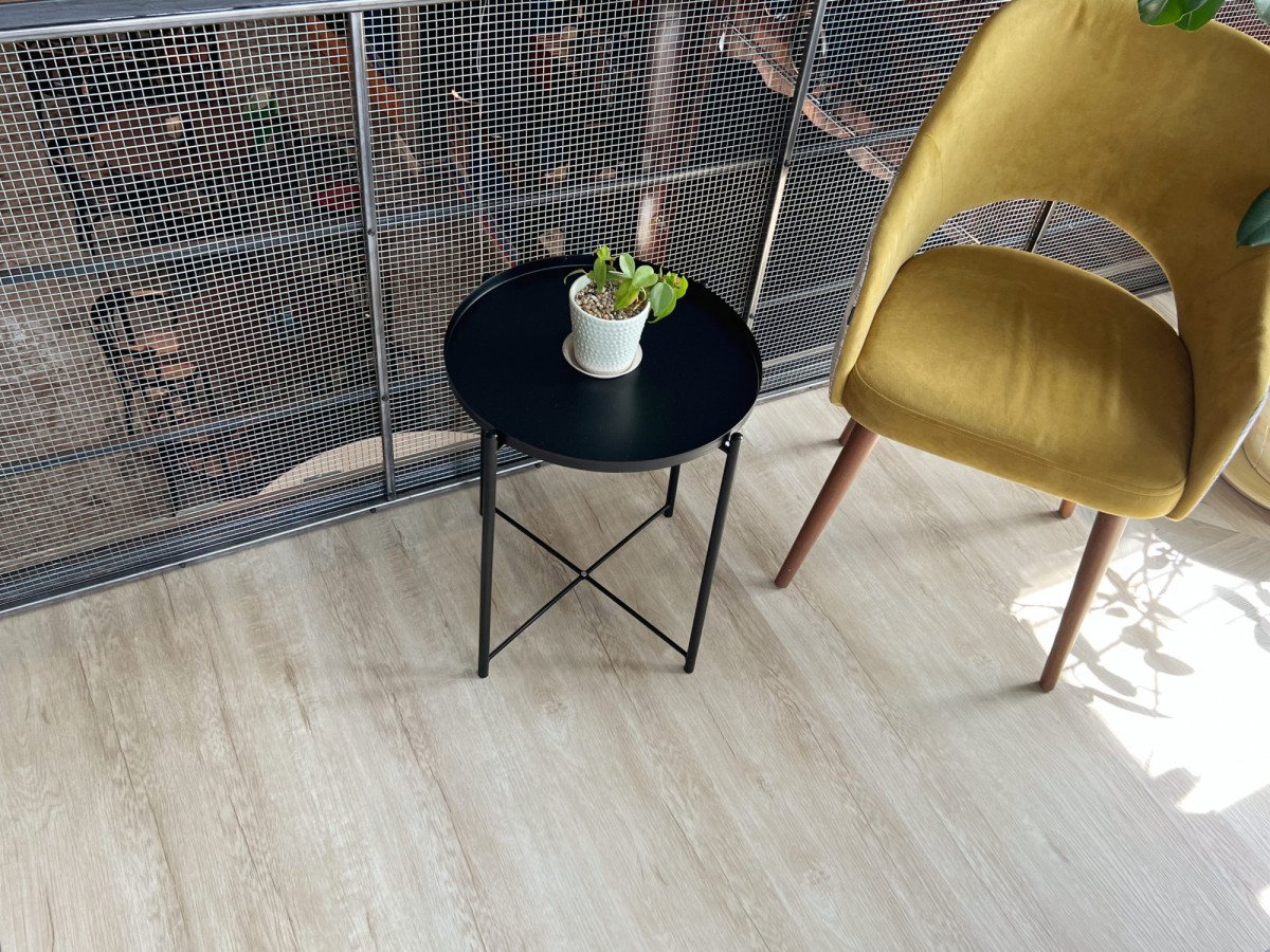 Q-10 Дуб Челси