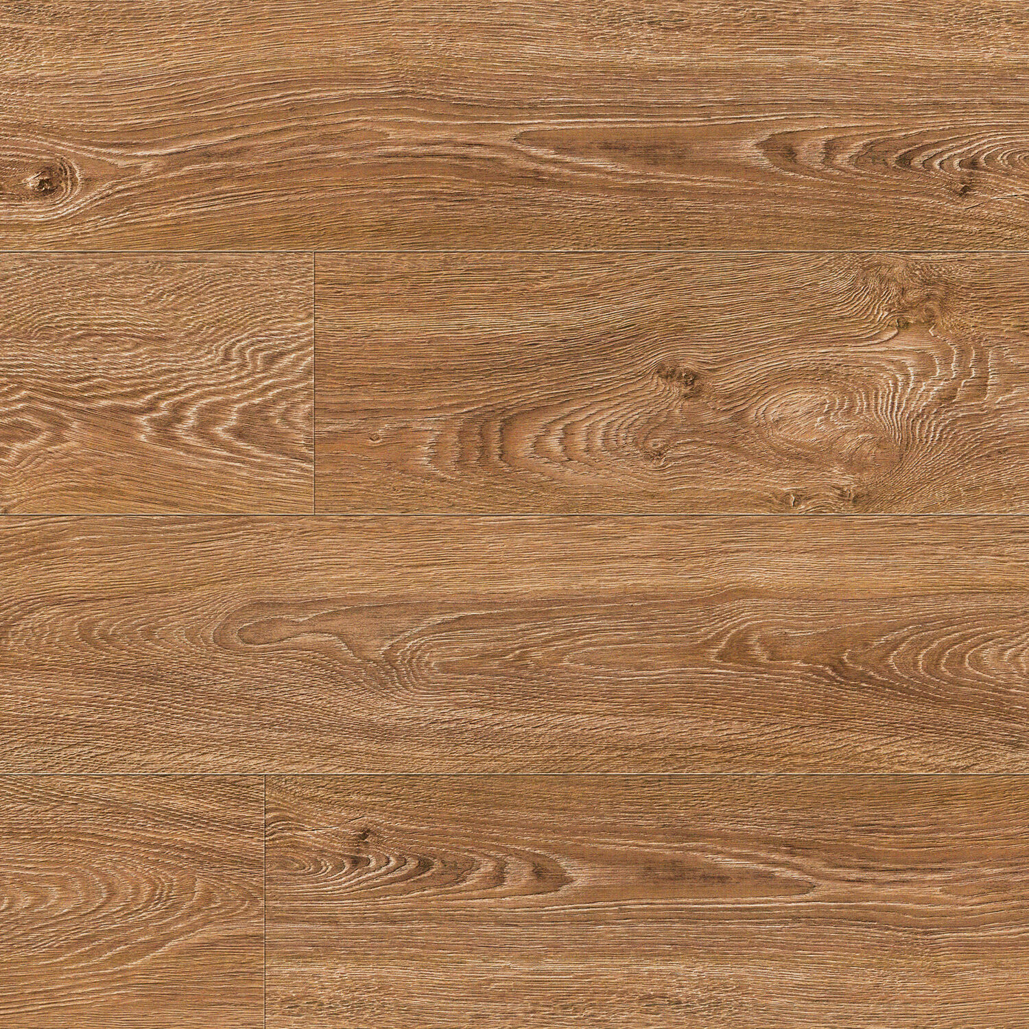 75032 Дуб Лестер