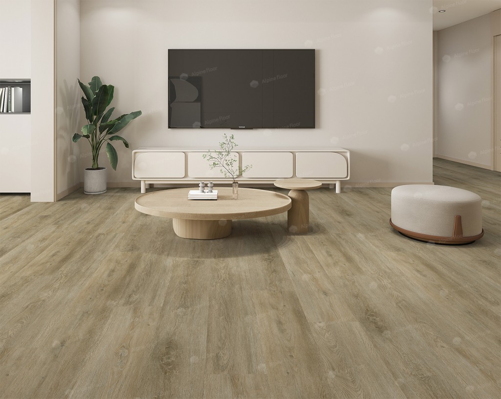 ABISSO 1004-15 ABISSO 1004-15