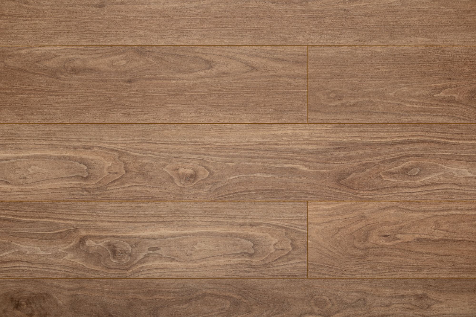 Space Nuts XL Glue AF4076NXL Glue