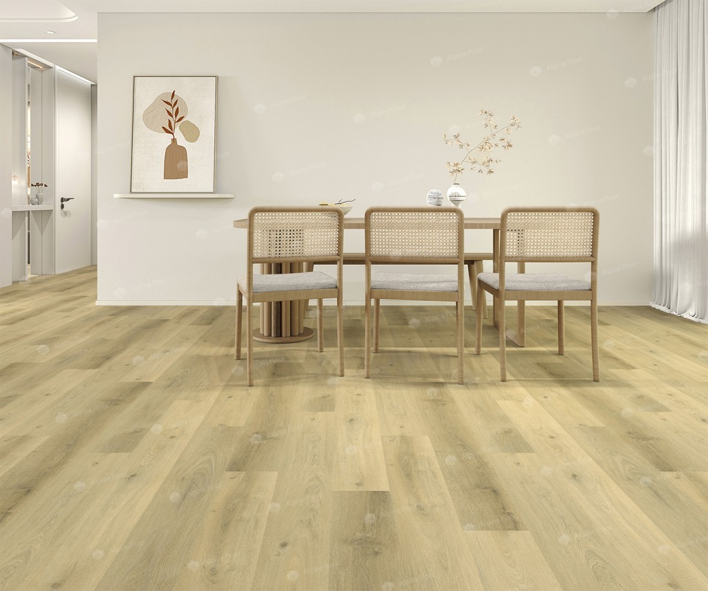 MODESTO 1004-3 MODESTO 1004-3