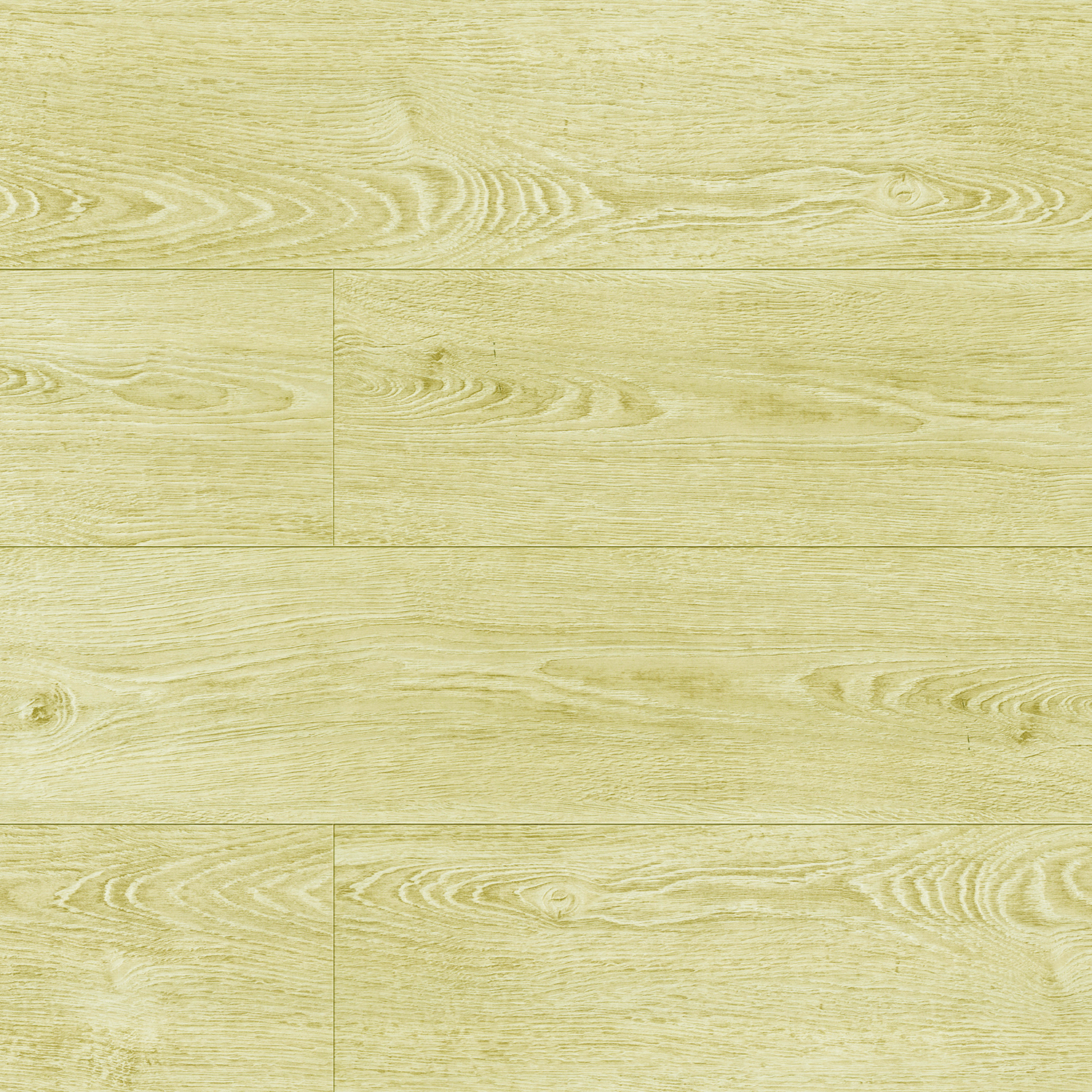 75031 Дуб Эддисон 75031 Дуб Эддисон