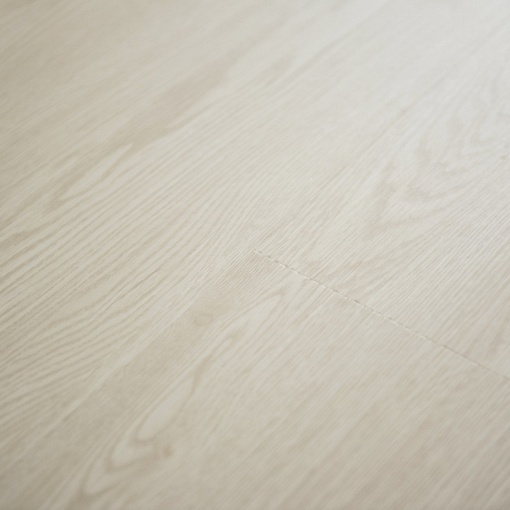 Q-12 Дуб Бруклин