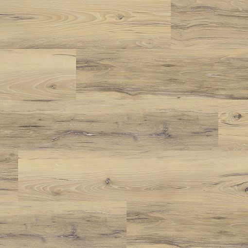 9902 Карнавал