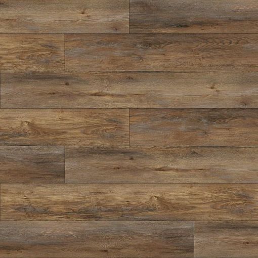 MV01 Дуб Аридас