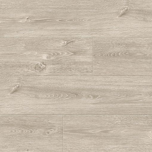 620 Дуб Богота