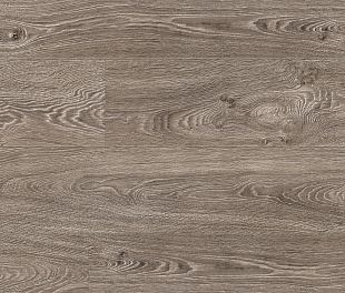 91752 Дуб Оттава