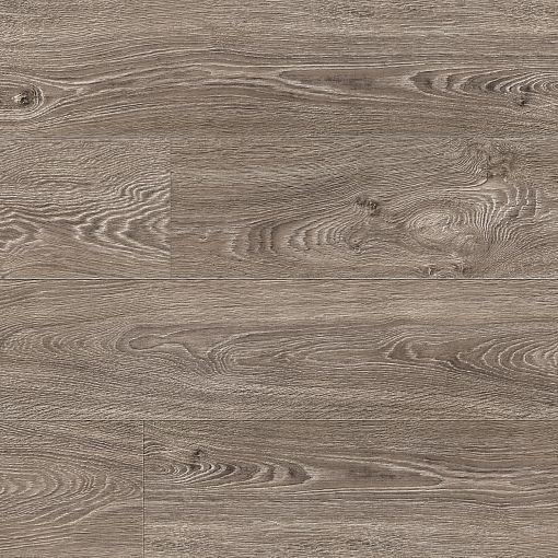 91752 Дуб Оттава