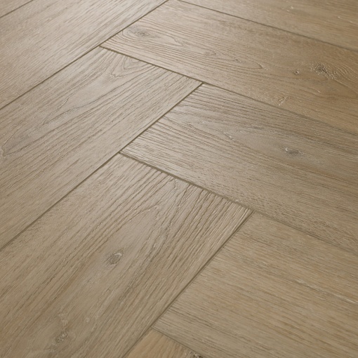 213 Дуб Тревизо